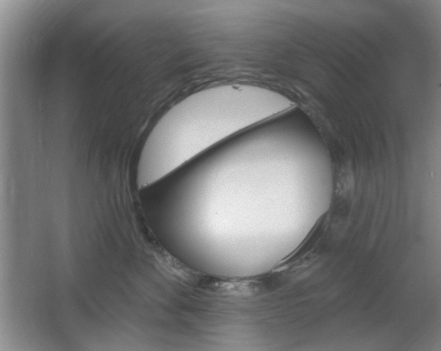 X0000064720524200602100935