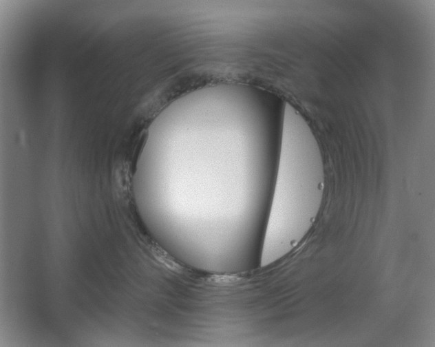 X0000064720528200602100935