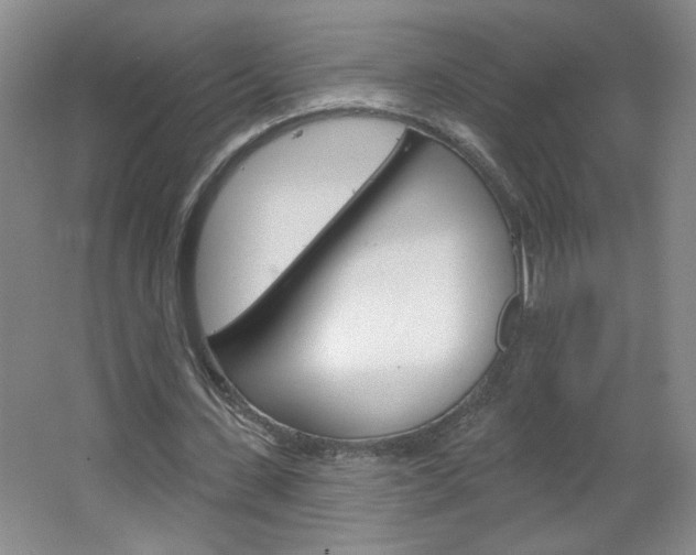 X0000064720531200602100934
