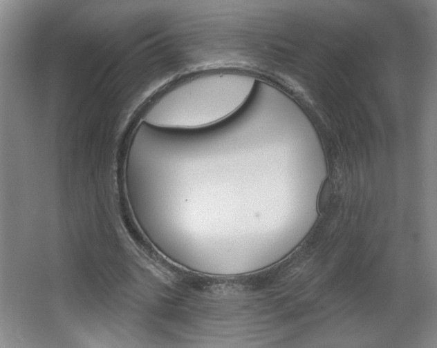 X0000064720535200602100934