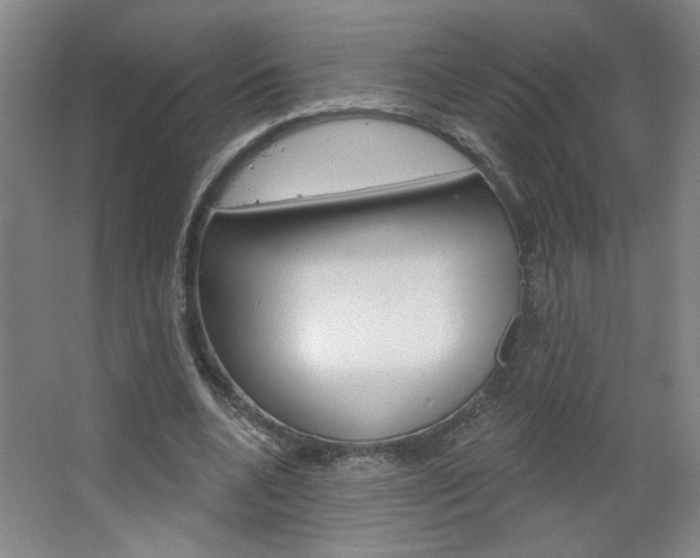 X0000064720536200602100934