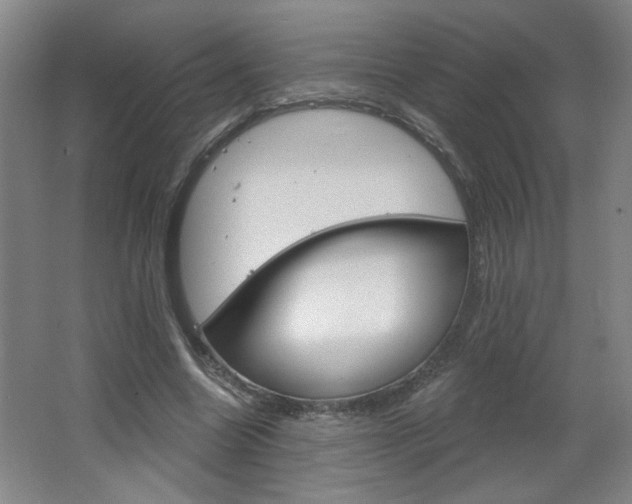 X0000064720538200602100934