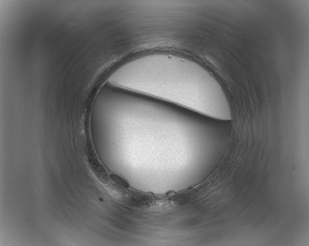 X0000064720543200602100934