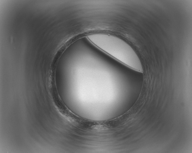 X0000064720544200602100934