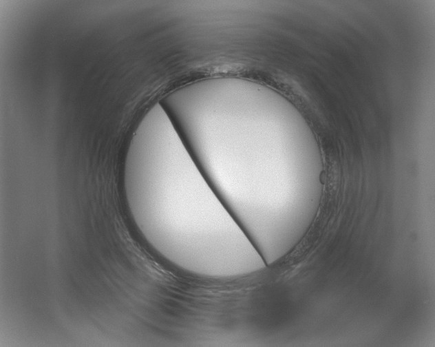 X0000064720545200602100934