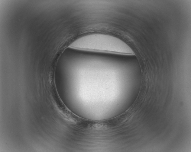 X0000064720546200602100934