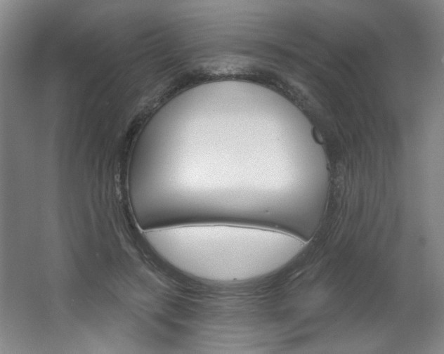 X0000064720547200602100934