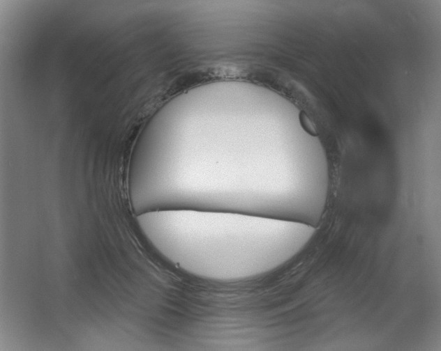 X0000064720553200602100934