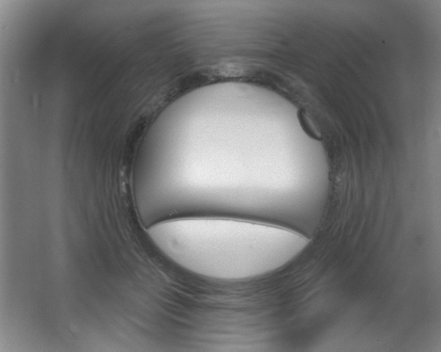 X0000064720555200602100934