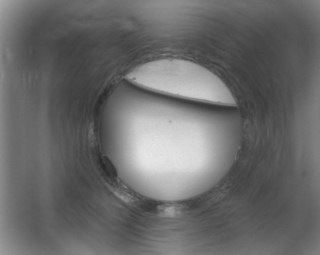 X0000064720564200602100935