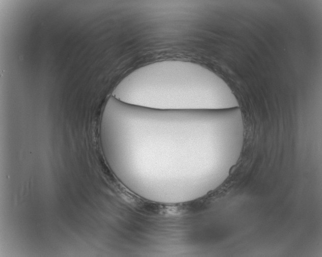 X0000064720565200602100935
