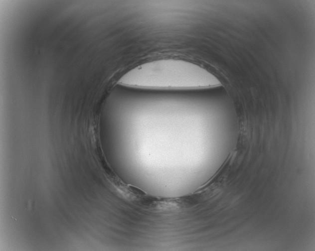 X0000064720572200602100935