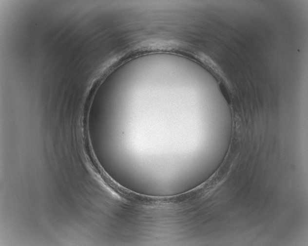 X0000064720581200602100934