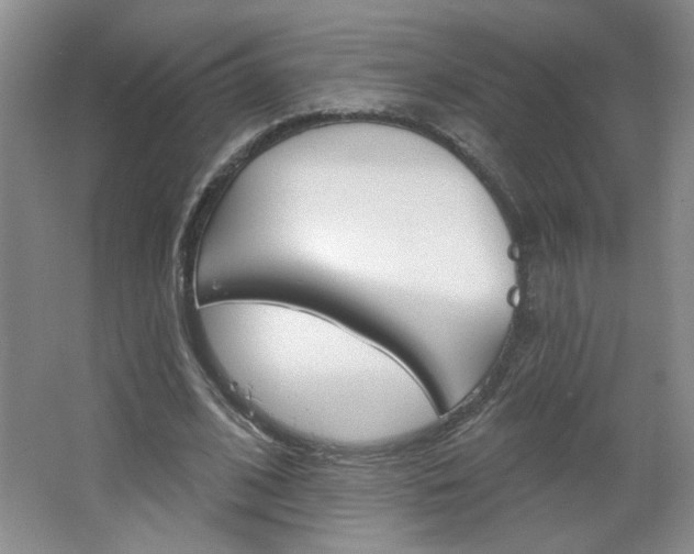 X0000064720584200602100934