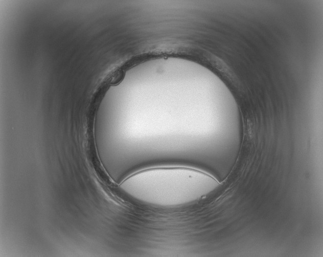 X0000064720588200602100934
