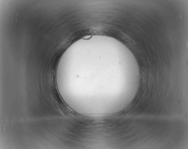 X0000064720603200602100934