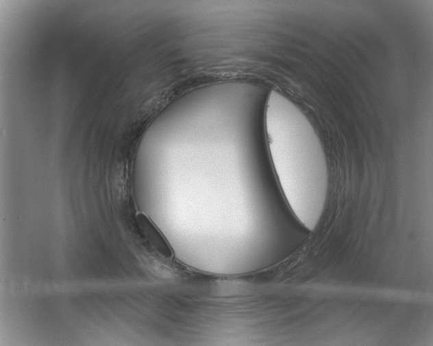 X0000064720605200602100934