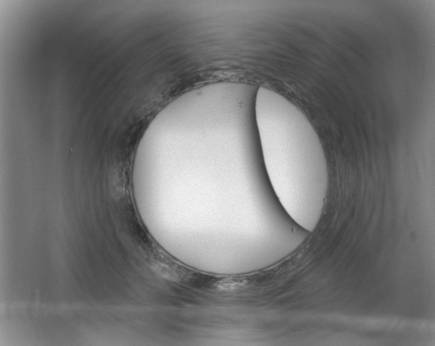 X0000064720606200602100933