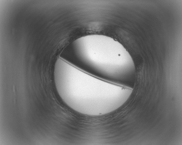 X0000064720608200602100933