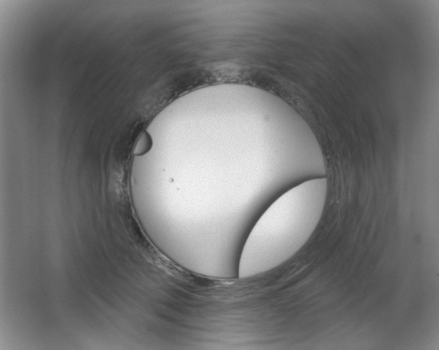 X0000064720610200602100933