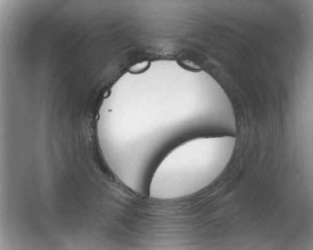 X0000064720612200602100933