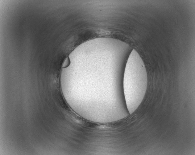 X0000064720614200602100933