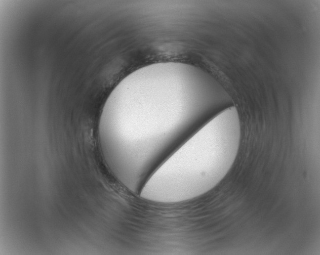 X0000064720615200602100933