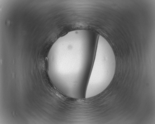 X0000064720617200602100933