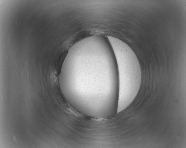 X0000064720621200602100933