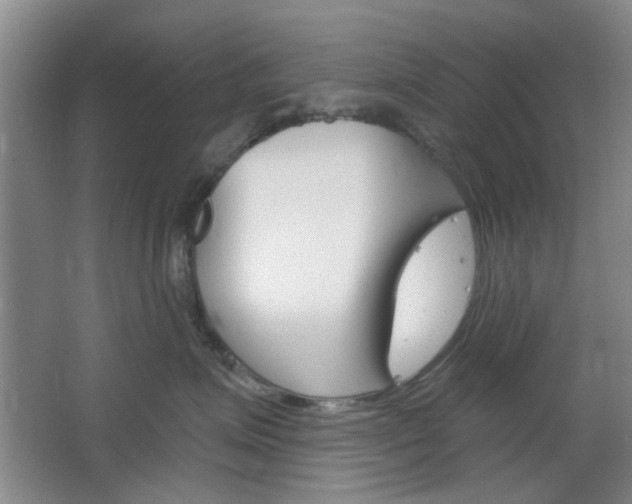 X0000064720623200602100933