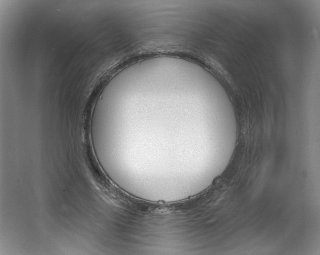 X0000064720635200602100933