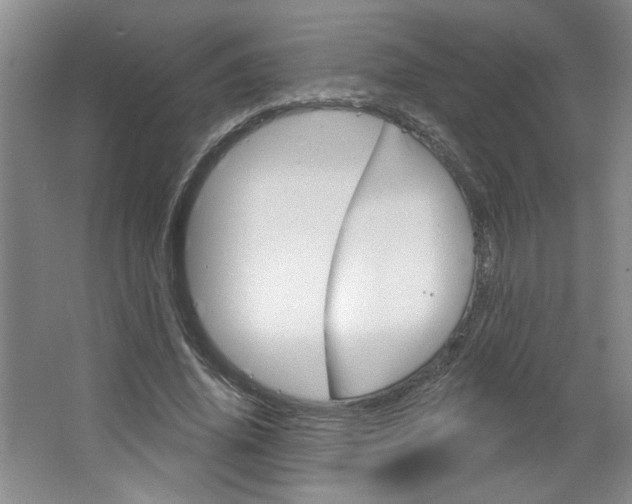 X0000064720636200602100933