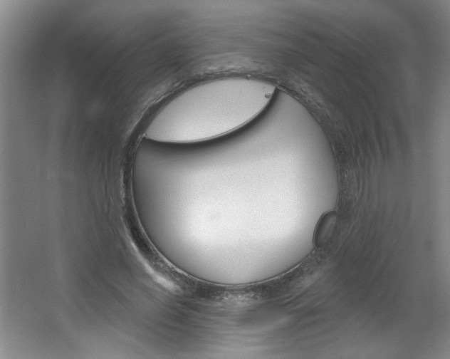 X0000064720638200602100933