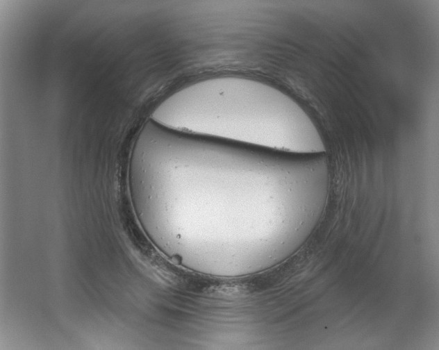 X0000064720639200602100933