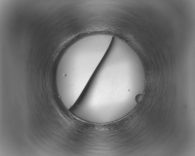 X0000064720640200602100933