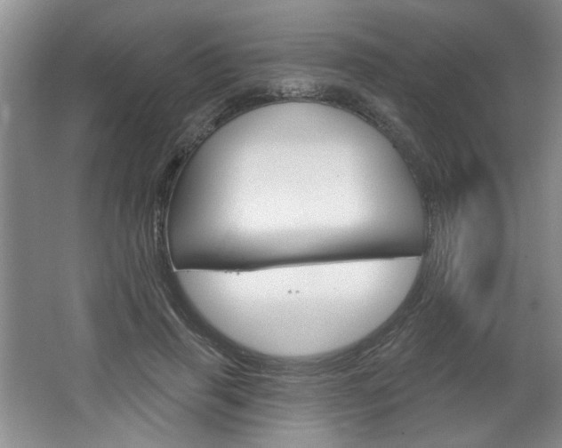 X0000064720645200602100933