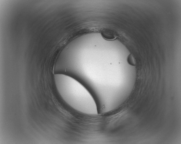 X0000064720646200602100933