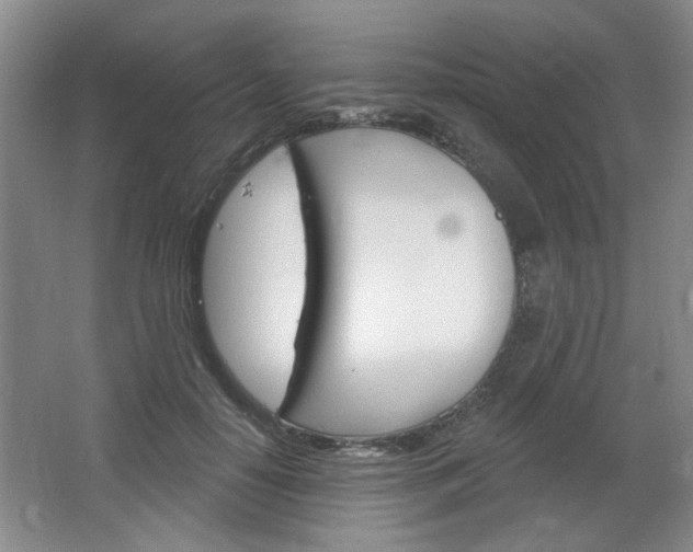 X0000064720650200602100933