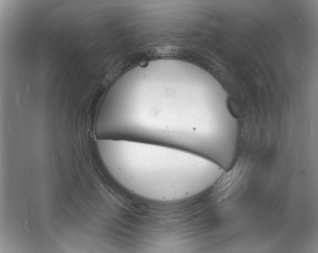 X0000064720651200602100933