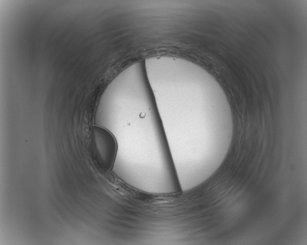 X0000064720653200602100933