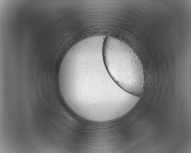 X0000064720654200602100933