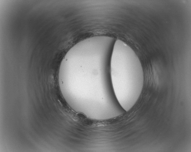 X0000064720655200602100933