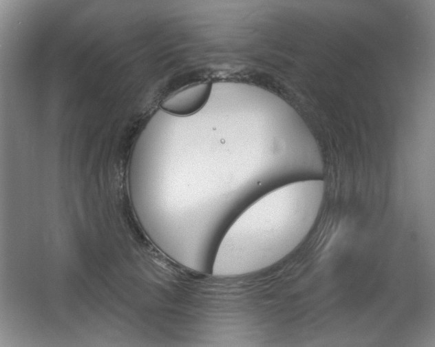 X0000064720657200602100933