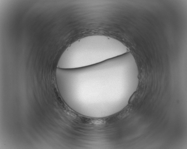 X0000064720659200602100933