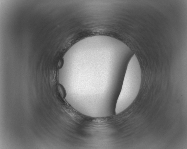 X0000064720660200602100933