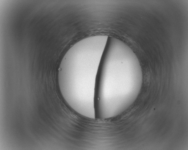 X0000064720661200602100933