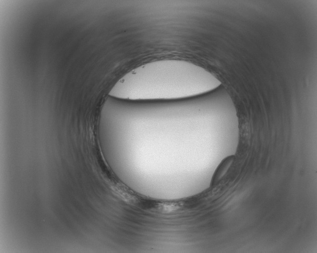 X0000064720662200602100933
