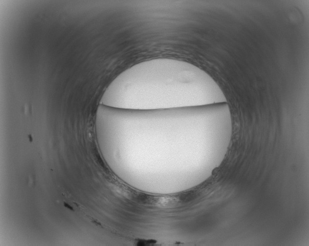 X0000064720663200602100933