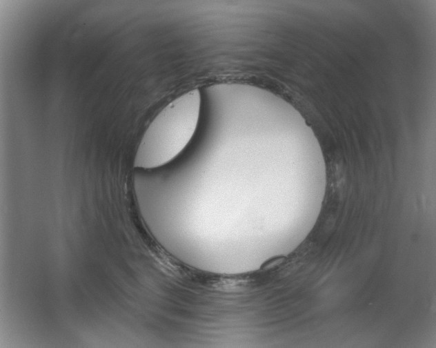 X0000064720664200602100933
