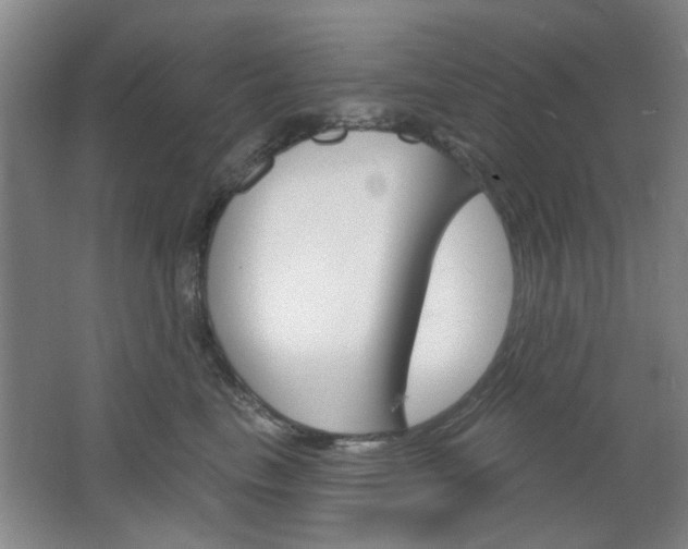 X0000064720665200602100933